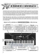 ALB 17952_5.jpg